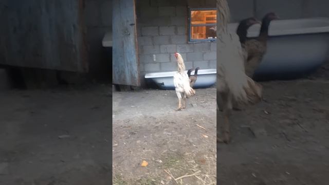 канец апрел смотреть онлайн