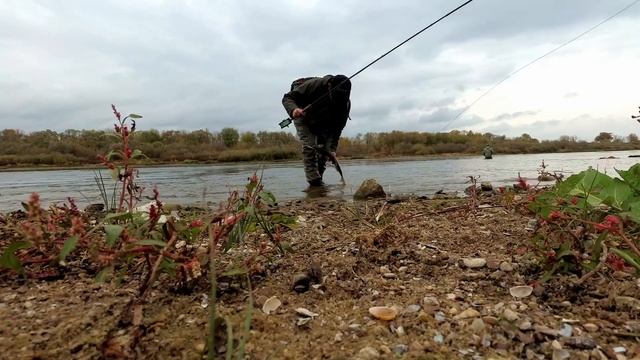 Нахлыстовые проводы старого 2019 года смотреть онлайн