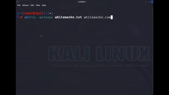 ハッカーはdmitryでホストの情報を収集する(Kali Linuxツール説明) смотреть онлайн