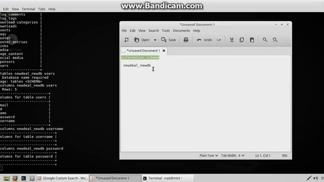 themole injection how to use and install (for educatnal only) смотреть онлайн