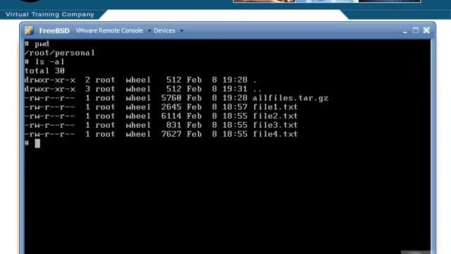 FreeBSD - Using GZIP and BZIP смотреть онлайн