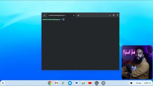 How To Enable Linux Into ChromeOS Flex & Install Linux Apps!