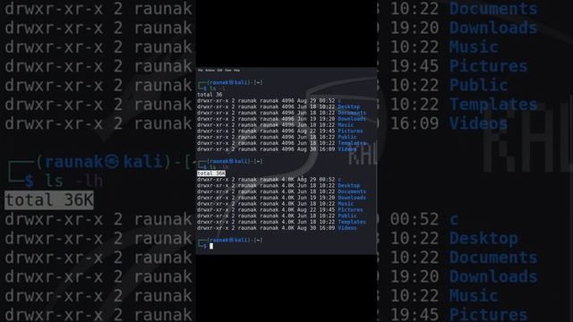 Linux Commands - "ls" (list) command || #linux #programming #learning смотреть онлайн