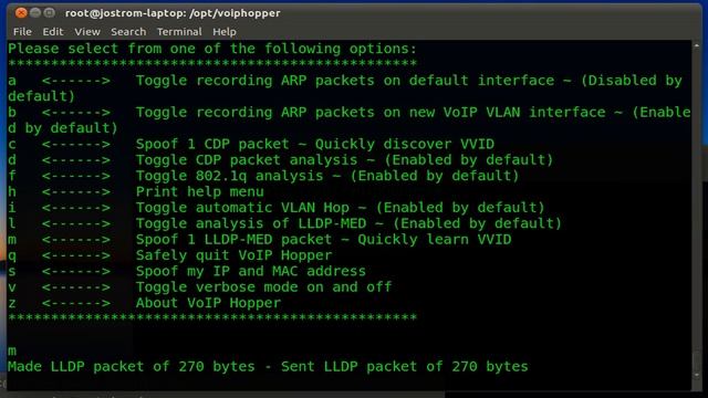VoIP Hopper by Jason Ostrom смотреть онлайн