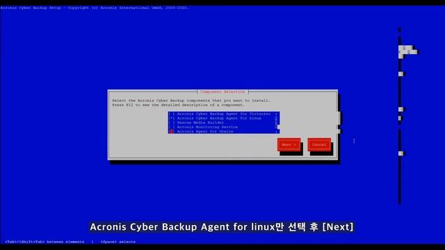 Acronis Cyber Backup 12.5 Linux Agent 설치 смотреть онлайн
