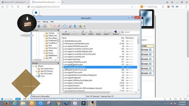 How to hack iphone restriction password | iphone, ipad , ipod touch ios 11.2.1 - 10.3 -10 , 9 , 8 , смотреть онлайн