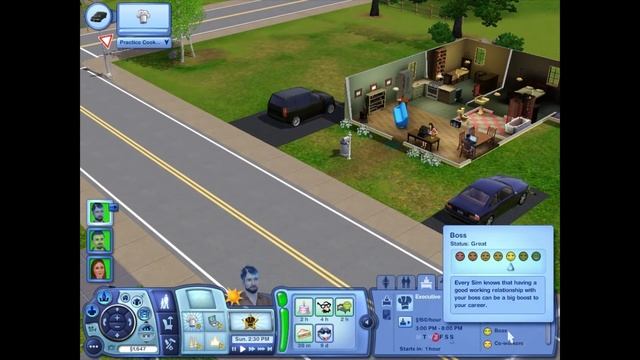 Sims 3 Episode 14: Mid-Life смотреть онлайн