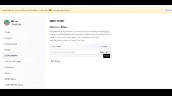 How to Access Gated Models in Huggingface in Python Code