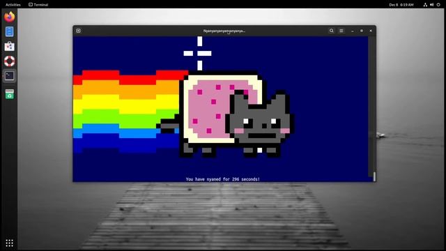 Linux User Nyanyanyan In A Container | Linux Memes смотреть онлайн
