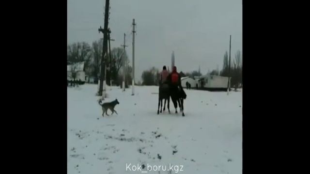 Игры кочевников 2019 смотреть онлайн