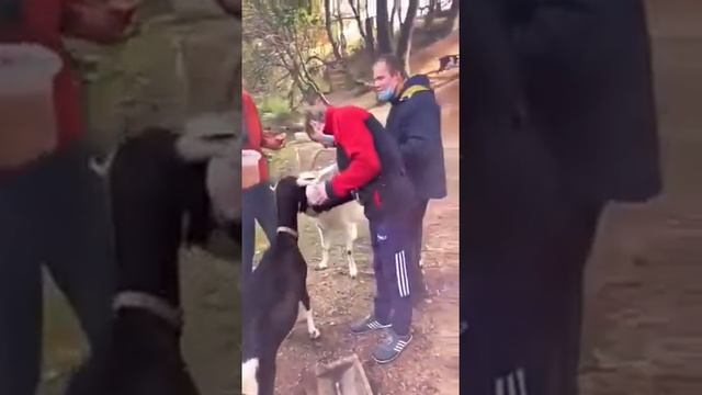 Благотворительный четверг смотреть онлайн