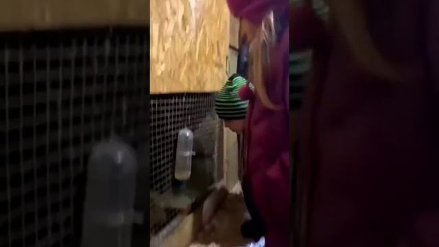 Благодарности пост смотреть онлайн