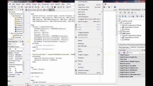 Add Screen Reader Support to your FireMonkey Desktop App - Developer Skill Sprint смотреть онлайн