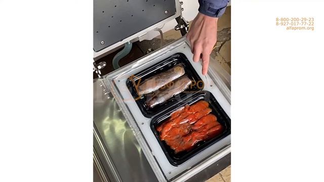 Скин упаковочная машина для пищевых продуктов VG-250 смотреть онлайн