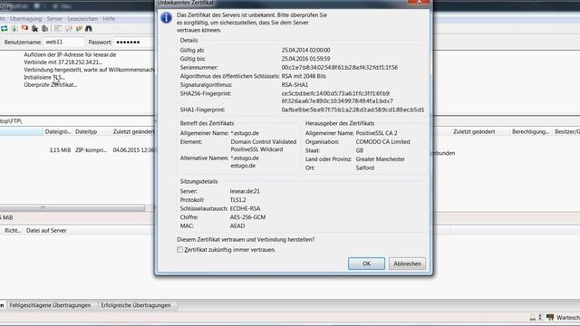 FileZilla/FTP: TLS nutzen смотреть онлайн