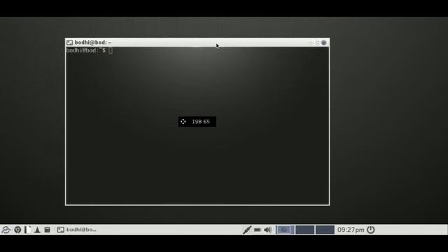 Bodhi Linux 3.1.1 Fast Review смотреть онлайн
