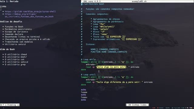 [Além do Bash] #14 - Funções 'loop while' e 'loop until' смотреть онлайн