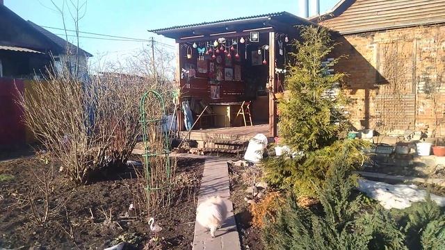 Моё 24.03.22. Ждем открытия дачного сезона!☀️🌺☘️ смотреть онлайн