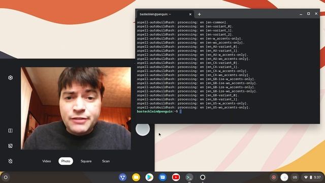 Testing Linux on FydeOS смотреть онлайн