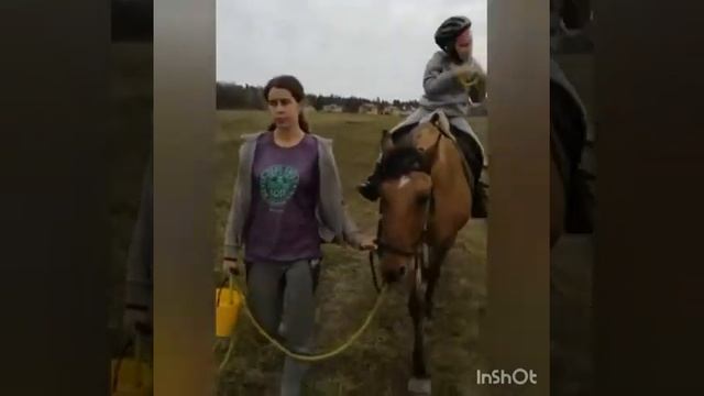 Курс «Интенсив №6» смотреть онлайн