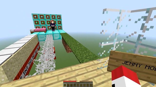 Full JENNY MOD But Minecraft #jenny