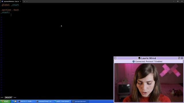 RISC-V Assembly Hello World (Part 1) смотреть онлайн