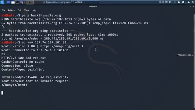 Connecting to a TCPUDP Port with netcat on kali linux смотреть онлайн