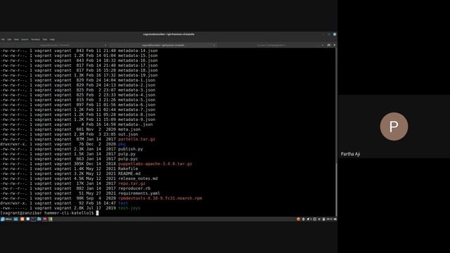 Foreman Community Demo #107 смотреть онлайн