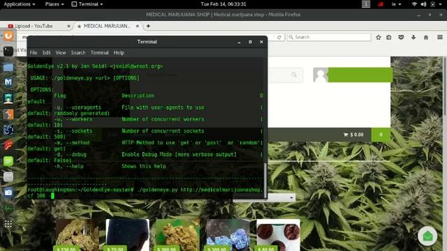 how to DDOS on kali linux смотреть онлайн