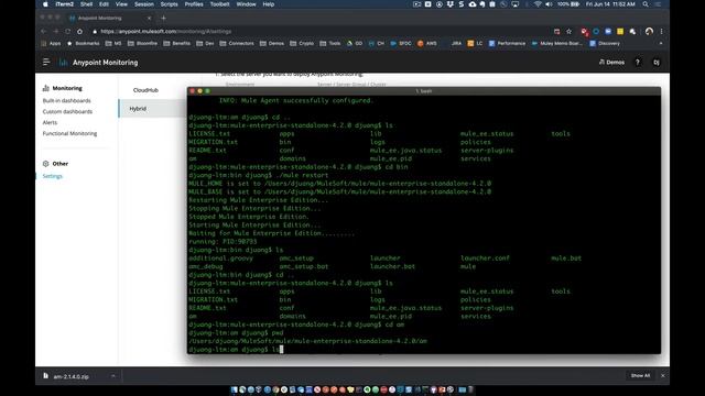 How To - Install Anypoint Monitoring Agent смотреть онлайн