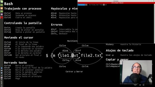 El terminal. Introducción. смотреть онлайн