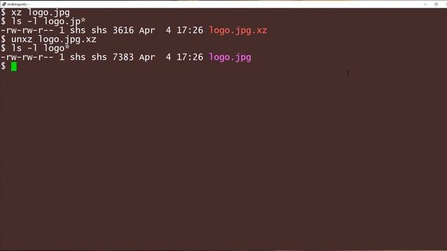 How to use the xz command: 2-Minute Linux Tips смотреть онлайн
