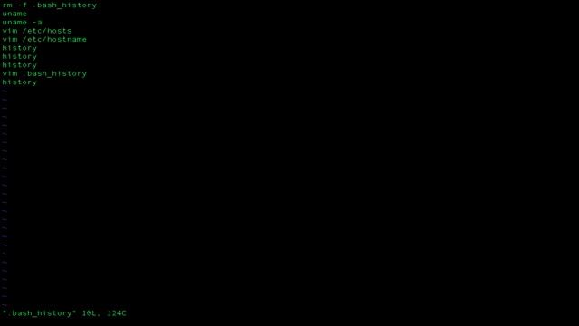bash_history смотреть онлайн