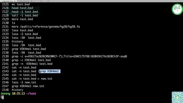 linux 4 文本处理 смотреть онлайн