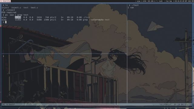 Linux process injection смотреть онлайн