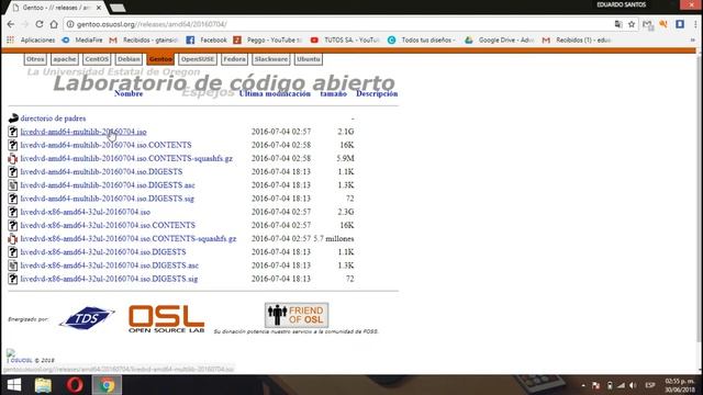 Descargar Gentoo Linux Imagen Iso смотреть онлайн