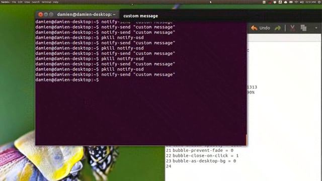 Customize Notification Bubble in Ubuntu with Patched NotifyOSD смотреть онлайн