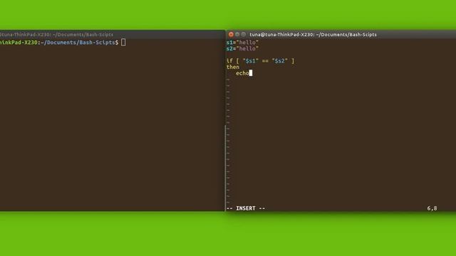 How to compare two string variables in an 'if' statement in Bash смотреть онлайн