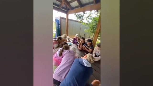 Обучающий семинар для потенциальных волонтеров смотреть онлайн