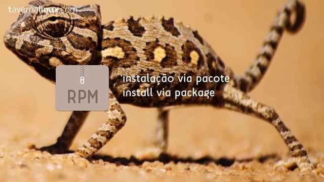 Vivaldi - Como Instalar no openSUSE e Derivados • Tutorial смотреть онлайн