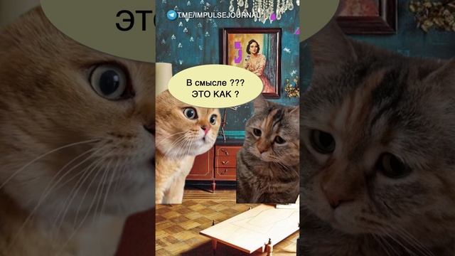 Красный диплом #мыкотики #вмем #разговор #анекдот #шутки #кот #юмор #смешное #прикольно #мемы #cat смотреть онлайн