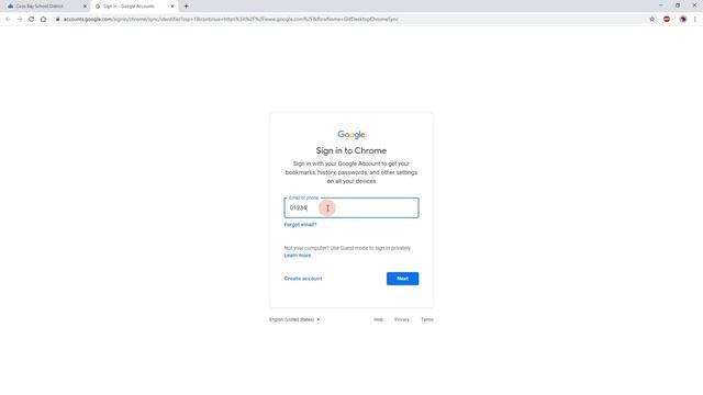 Google Chrome Profile смотреть онлайн