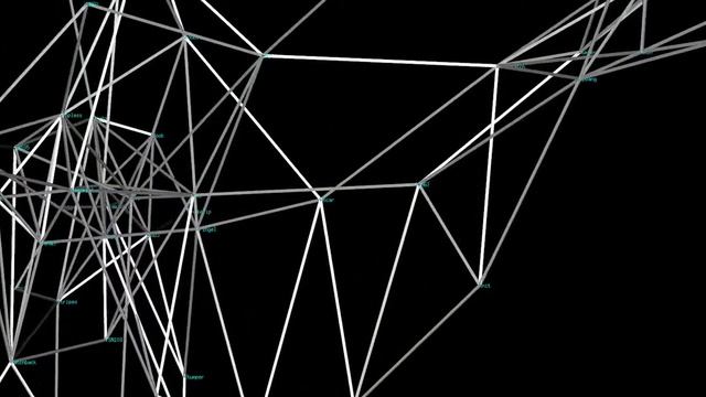 3D igraph Dolphin Social Network 4xAA смотреть онлайн
