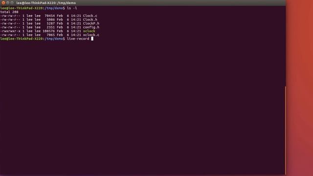 Generating a recording of a Linux program with the Live Recorder executable смотреть онлайн
