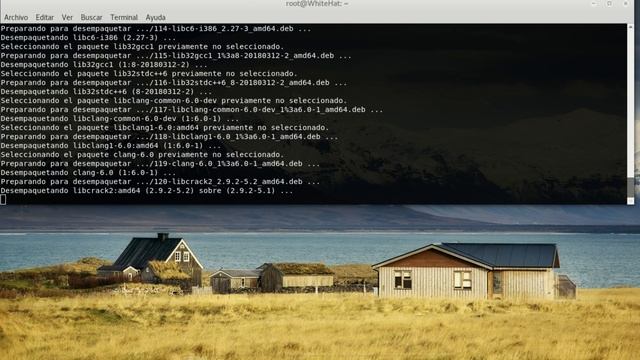 Que hacer despues de instalar Kali Linux 2018.2 Rolling смотреть онлайн