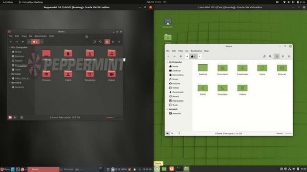 Peppermint OS 22 (XFCE) vs Linux mint 20.3 (Cinn.)