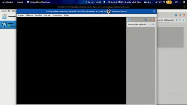 VirtualBox inside Distrobox - ArchLinux