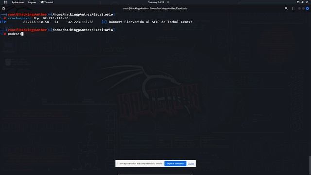 Como usar crackmapexec en kali linux 2023 New update смотреть онлайн
