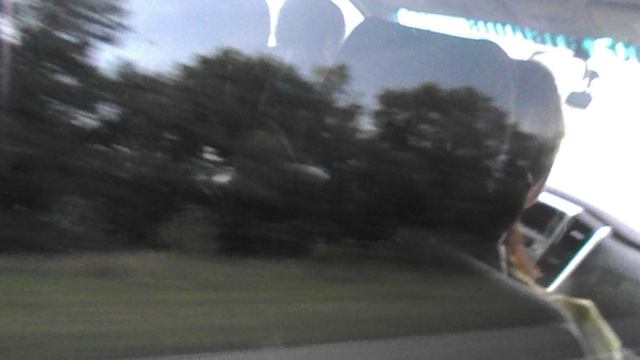 DSCN3268ЛОТОСЫ КИЗИНКА МОСТОВСКИЙ РАЙОН ИЮЛЬ 2020